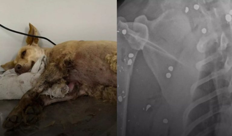 {46640307-6921-4848-84D4-69893F0A7A5F}