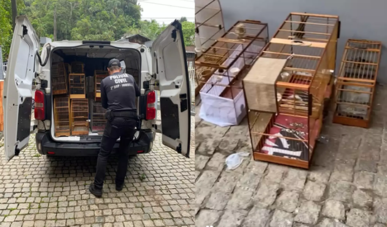 {9B9709A0-776D-4768-B11F-0CD3EC11FE8A}