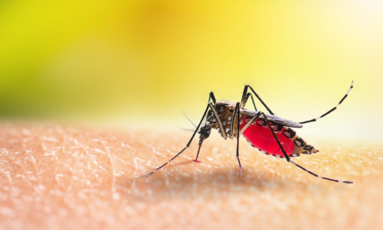 {C35D44B5-145D-417D-BDB7-CCC2C8B22DC1}