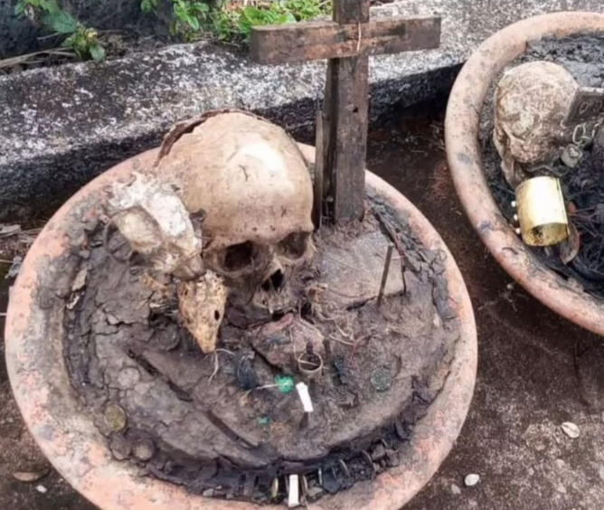 {072E457A-BC34-4D4F-AC4A-08FB231183E7}