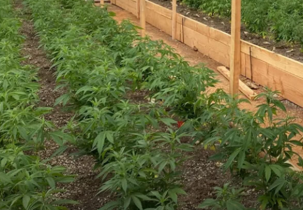 {34A2FE92-CE31-44A0-9E09-CA18D8075391}