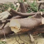 {804B6AA3-D43B-4E2A-861D-A49A40CB33E4}