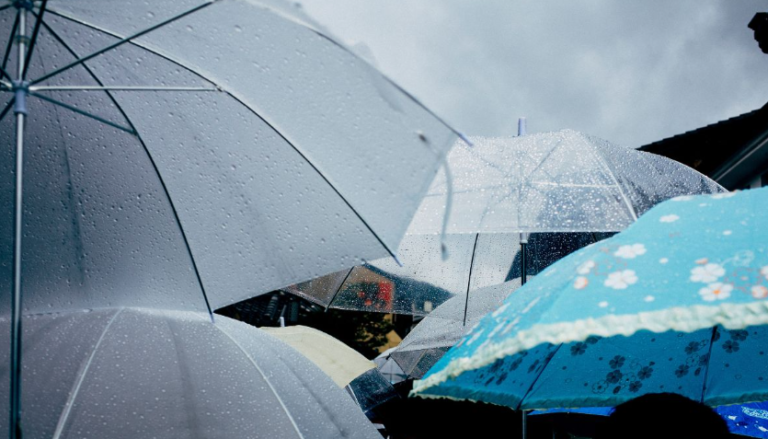 {881A2E2E-0B1F-4584-9188-113E3EA74E1D}