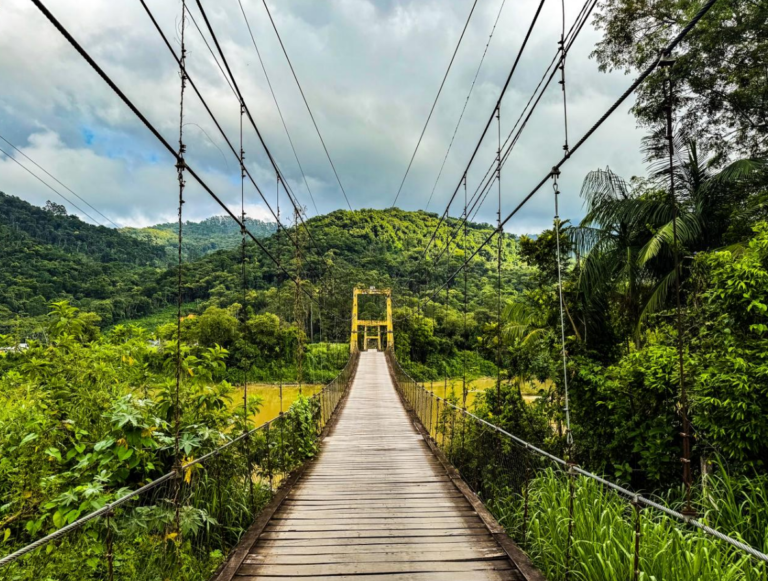 {19F7A40B-074C-4BA9-AA78-CB499E151F48}