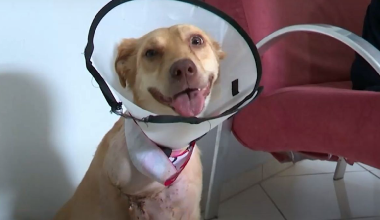 {34A69197-10B4-494E-9951-827CD50F5BB6}