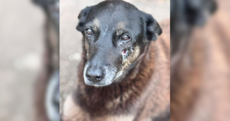 {065AECBE-FBF0-4972-9C16-B22C8A931DED}