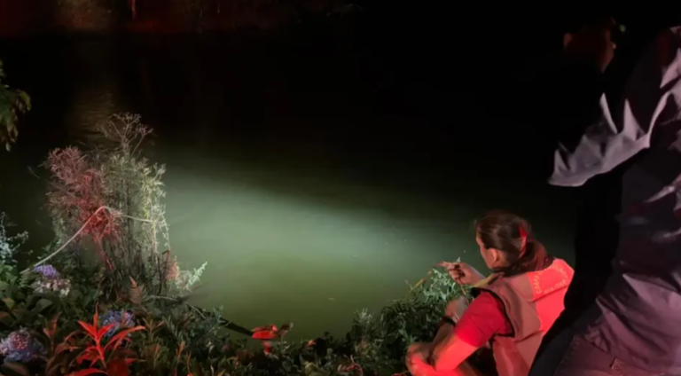 {0D44C843-1FD3-478D-A726-AD2568E051F8}