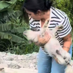 {39CCACCE-BB2B-414E-8C7E-D3C7BB5414EC}