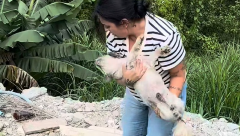 {39CCACCE-BB2B-414E-8C7E-D3C7BB5414EC}