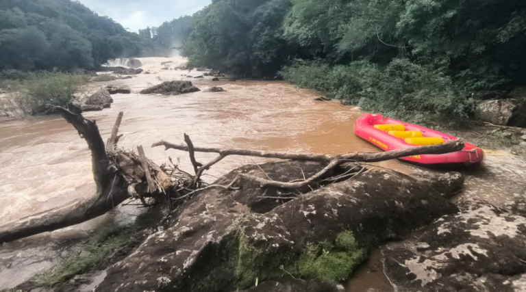 {44970BF2-94FF-4B75-9414-28B143FFA532}