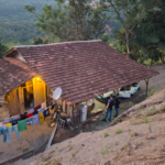 {D909C729-0DB7-4532-8376-1A6E084EC352}