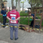 {2854FF96-A036-4E88-ACD8-6A68D95D2922}