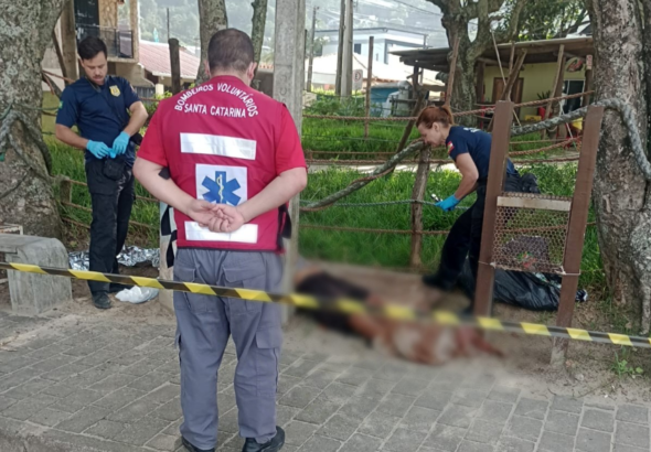 {2854FF96-A036-4E88-ACD8-6A68D95D2922}