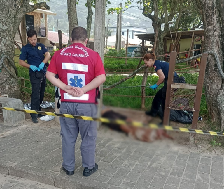 {2854FF96-A036-4E88-ACD8-6A68D95D2922}