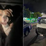 {65FC6C92-3121-482F-8A5B-239FE771782F}