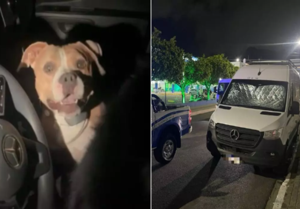 {65FC6C92-3121-482F-8A5B-239FE771782F}