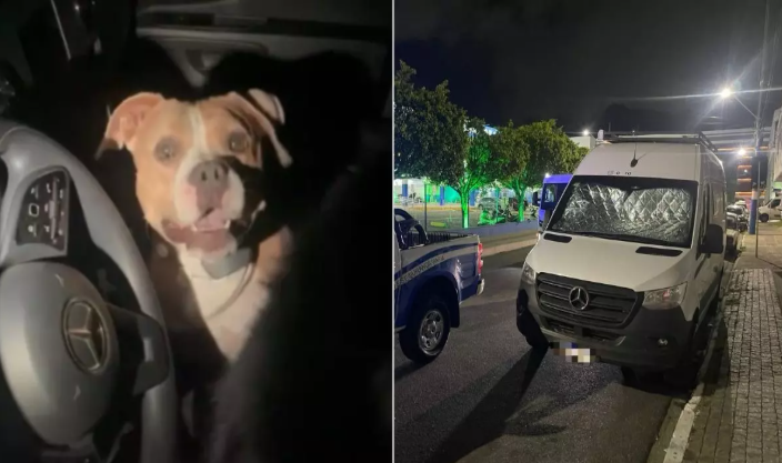 {65FC6C92-3121-482F-8A5B-239FE771782F}