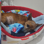 {67BBD1B6-969A-4127-A769-710F84044AA4}