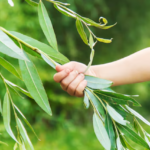 {729282F1-0CCB-40CB-AA7D-6089F4D07F80}