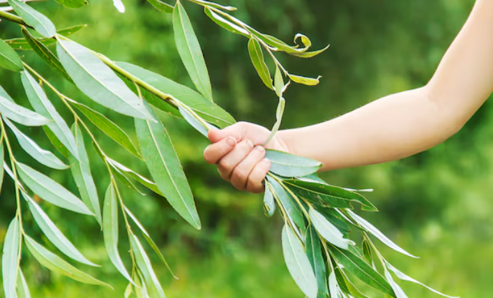 {729282F1-0CCB-40CB-AA7D-6089F4D07F80}