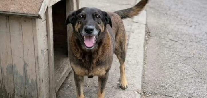 {7D2213CB-CC67-430A-A8B6-B6177AABB548}