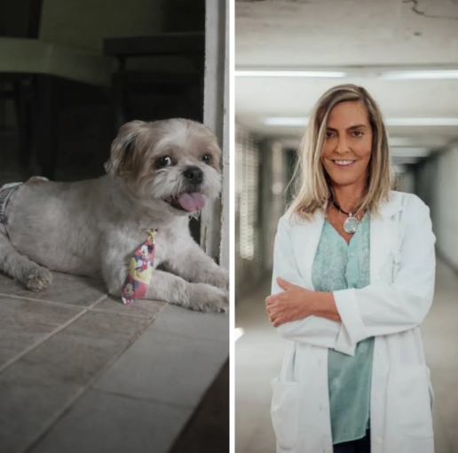 {97633DD6-24A3-41B3-BA0A-2B413CCC5307}