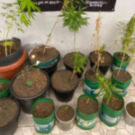 {B57DC1E3-1531-46FD-BFF9-2C5D880C9B83}