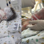 {1B4C9493-7A65-4958-B1A8-F507999D2D7B}