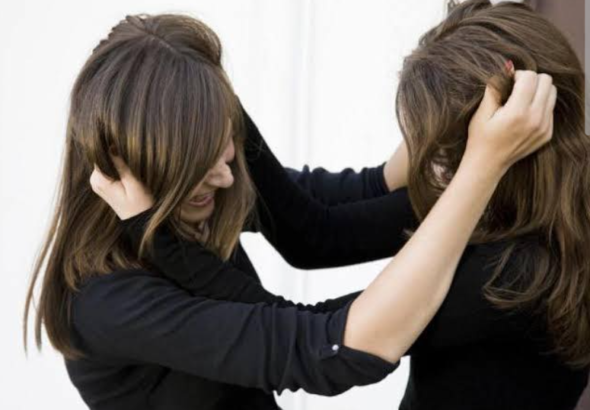 {5011ECD5-1CDF-4FEB-A3E3-443F91DC7A09}