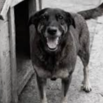 {1B49D447-4D7D-4536-952D-B92977FC90A2}