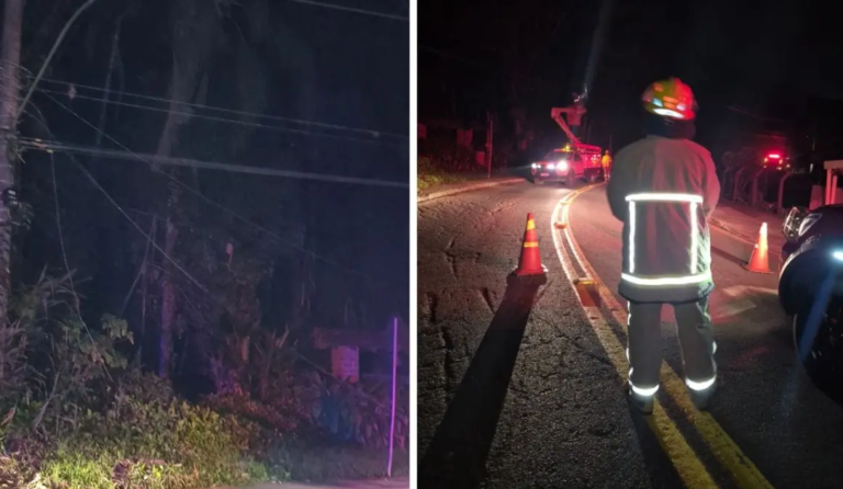 {2B41ABC0-233C-4FE5-84A6-8442FFE51343}