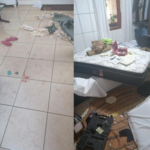 {C4579411-593A-4DE8-B447-C67AD152D74C}