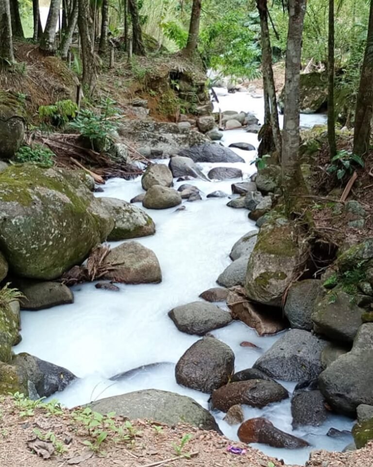 ⚠️ ATENÇÃO- Um caminhão com produto químico capotou às margens do Ribeirão das Antas, sentido Ti